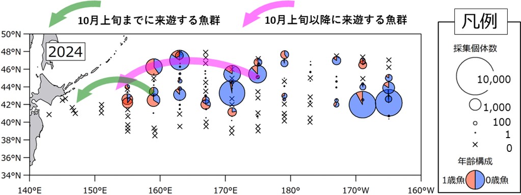 図1.サンマ資源量直接推定調査結果