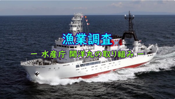 水産庁開洋丸の取り組み