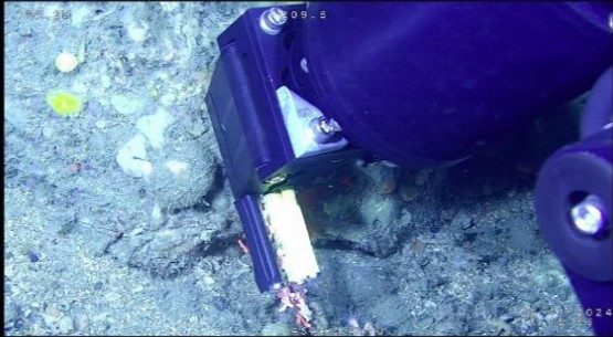 マニュピレーターによる採取