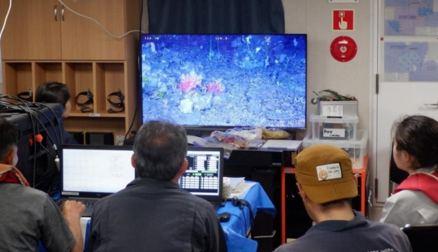 ROVにより観察された調査風景