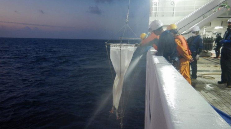 仔稚魚採集に利用したノルパックネット