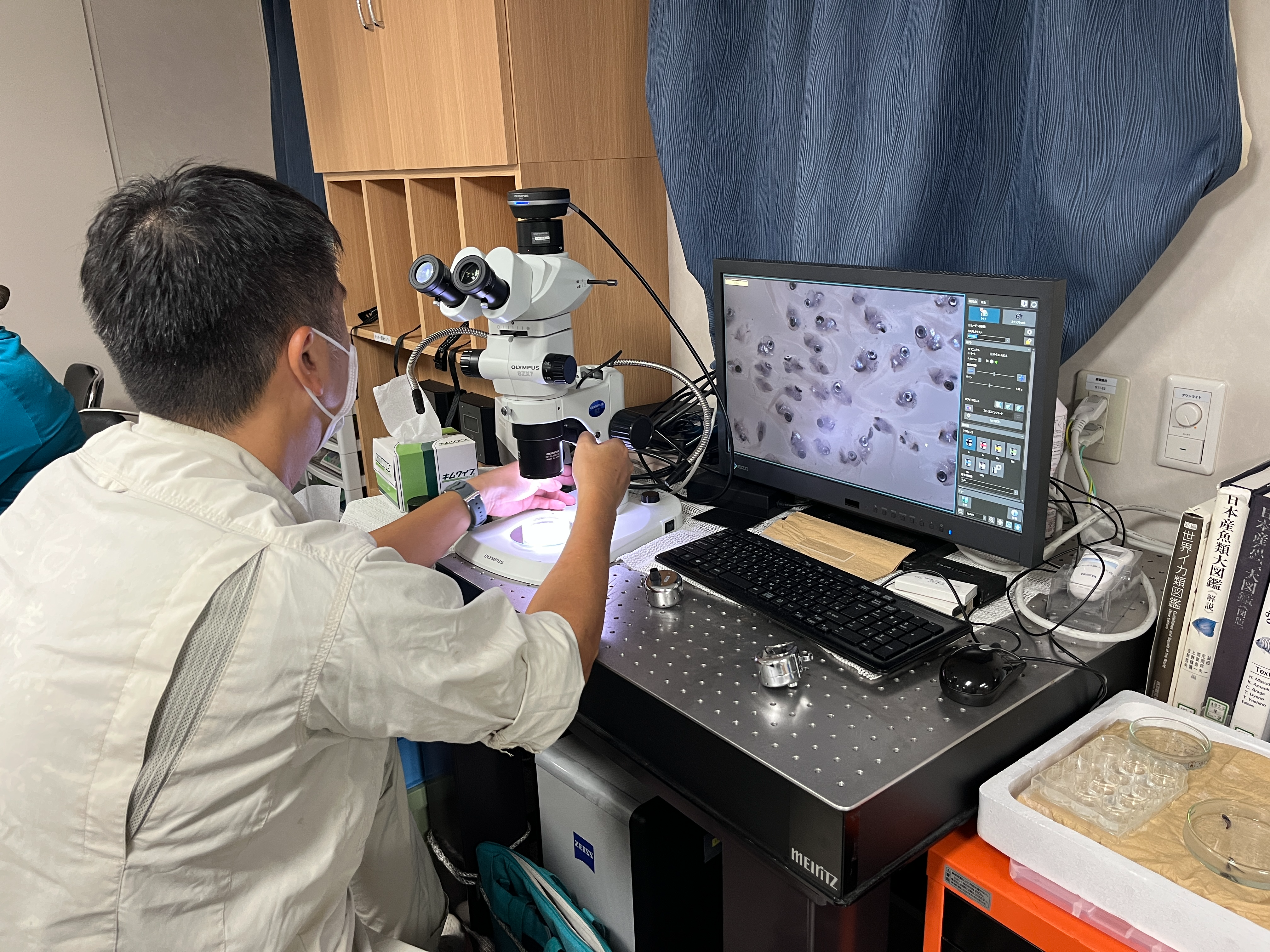 採集した魚類の観察