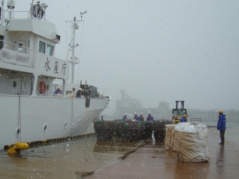 岸壁に置かれた、かにかごとフレコンバッグ