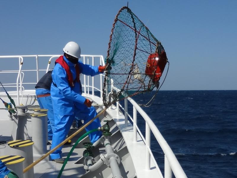 甲板上にかにかごを引き上げる漁業取締船乗組員