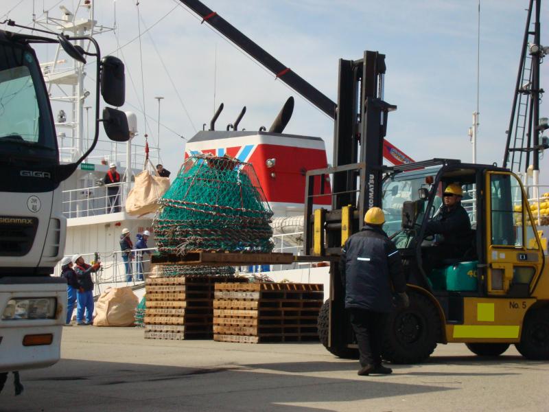 岸壁にてフォークリフトでかにかごを運搬する様子