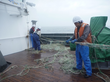 甲板上で網の長さを測る漁業取締船乗組員